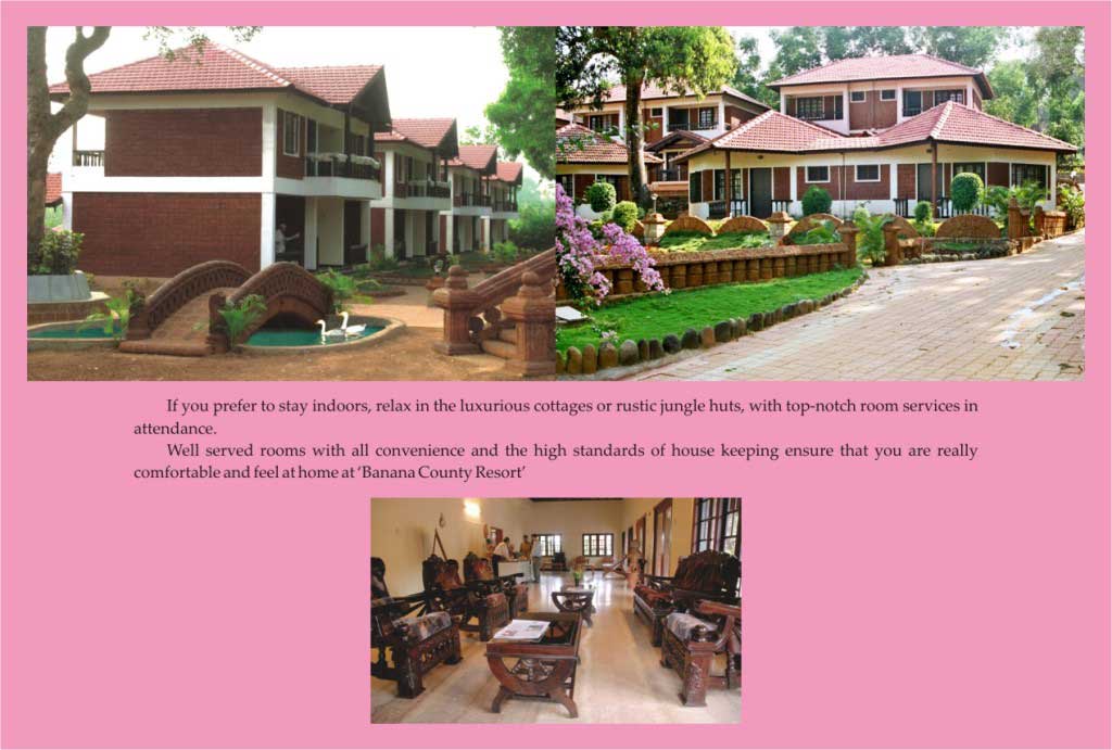 dandeli hotels