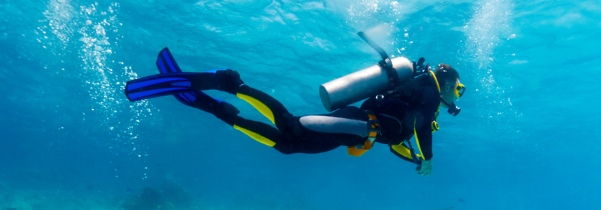 scuba diving at uttar kannada