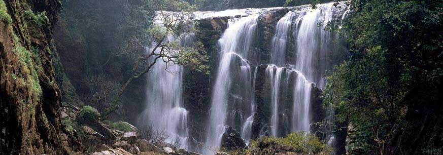 resort in jog falls